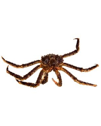 Les merus de King crab MSC cuit