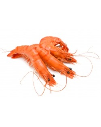 CREVETTE ROSE 20/30 LOT DE 2KG