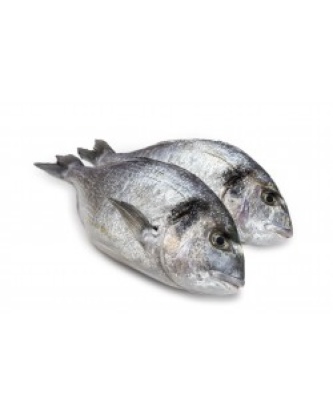 DAURADE ROYALE 220GR LOT DE 2 PIÈCES