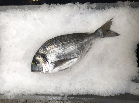 Dorade Royale Sauvage - Pièce de 1,5kg- Vidée