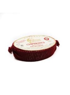 Chipirones En Su Tinta - Squid in Ink