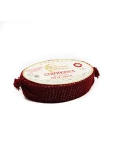 Chipirones En Su Tinta - Squid in Ink