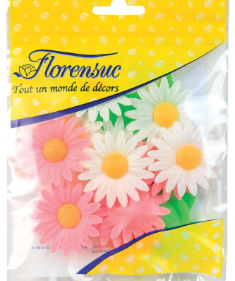 Marguerites roses et blanches (x 12)