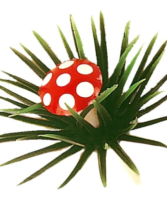 Assortiment de champignons à feuilles de houx (x 100)