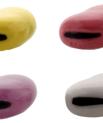 Fèves "Fève colorée"