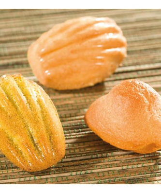 Moule 56 mini-madeleines