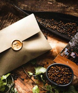 Poivre vert frais de Kampot en saumure de sel - Skleněná dóza: Sans pot en verre