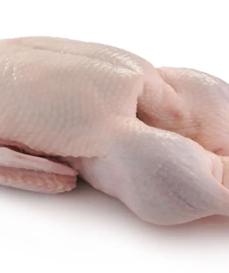 CANARD SAUVAGE (1), PRÊT À CUIRE