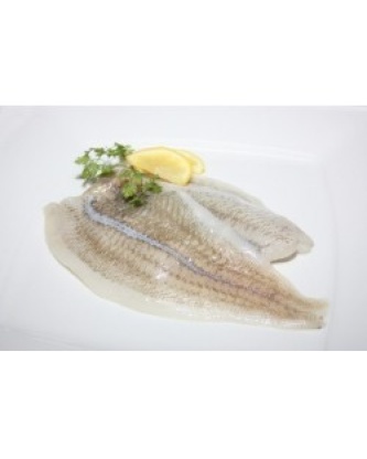 FILET DE CARRELET LOT DE 1KG