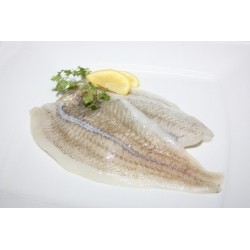 FILET DE CARRELET LOT DE 1KG