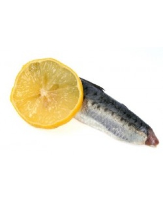 FILET DE SARDINE LOT DE 2KG