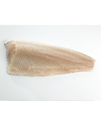 FILET DE TRUITE FARIO LOT DE 1KG