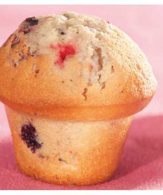 Moule 15 muffins champignon