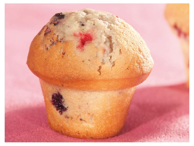 Moule 15 muffins champignon