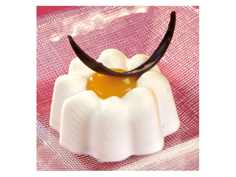 Moule 18 bavarois cake