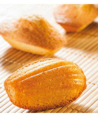 Moule 40 madeleines