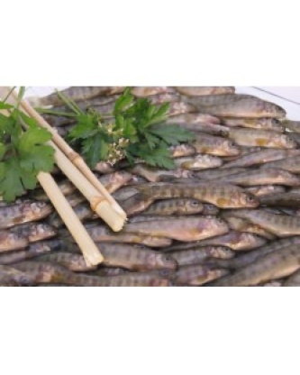 FRITURE DE TRUITE LOT DE 2KG