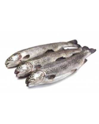 GROSSE TRUITE SAUMONÉE COLIS DE 6KG