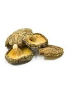 Shiitake Mushrooms