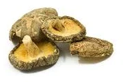 Shiitake Mushrooms