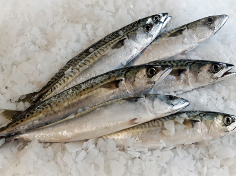 Maquereau Vidé Lot De 1kg - 2/400gr Par Pièce