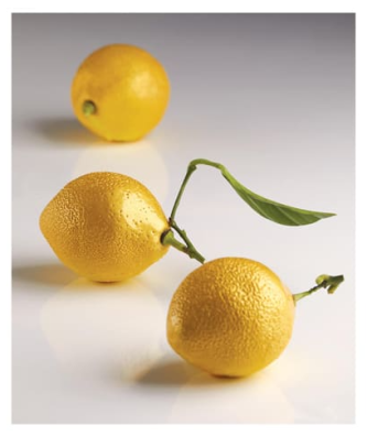 Moule silicone 3D Citron format individuel