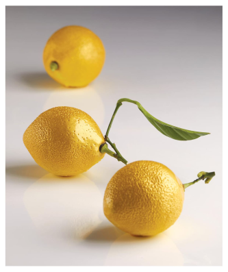 Moule silicone 3D Citron format individuel