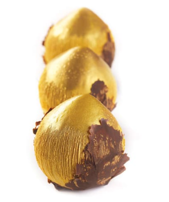 Moule silicone 3D Noisette format individuel