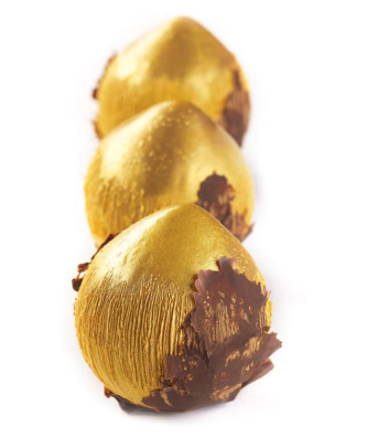 Moule silicone 3D Noisette format individuel