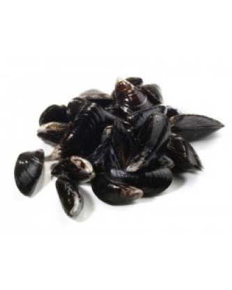 MOULE DE BOUCHOT OU CORDE SAC 5KG