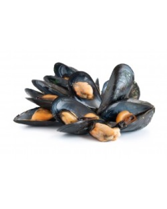MOULE DE CORDE 4 X 1,4KG