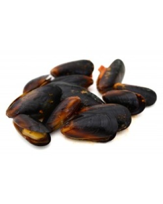 MOULE DE HOLLANDE LOT 12KG