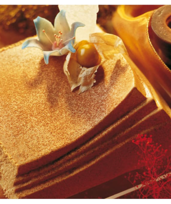 Moule en plastique semi-rigide (x 2)