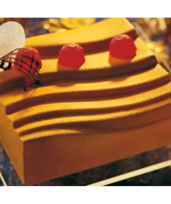 Moule en plastique semi-rigide (x 2)