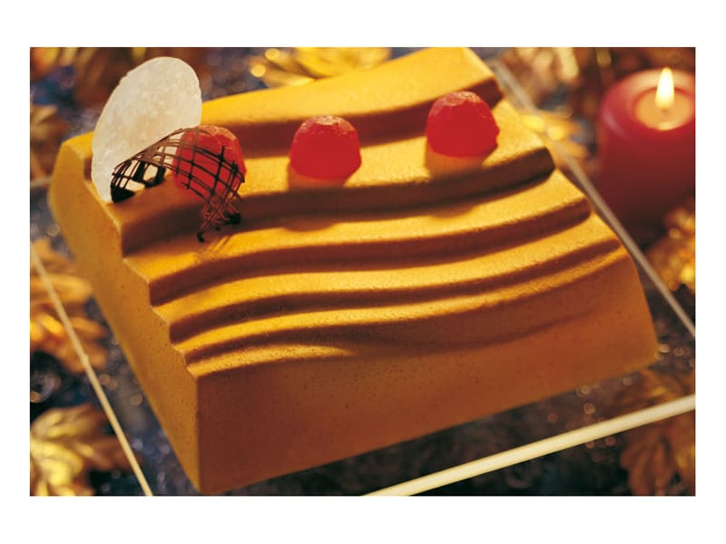 Moule en plastique semi-rigide (x 2)