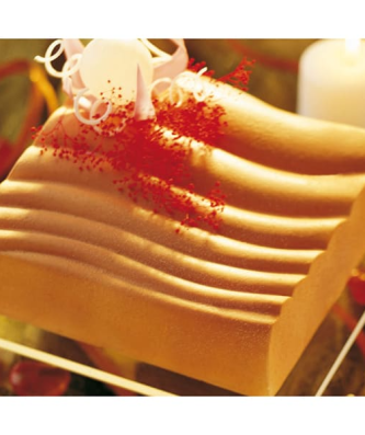 Moule en plastique semi-rigide (x 2)