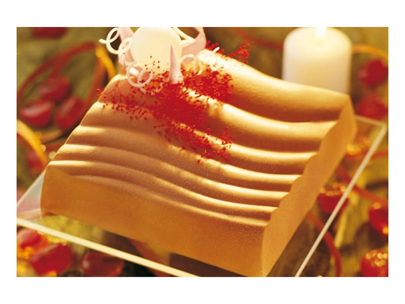 Moule en plastique semi-rigide (x 2)