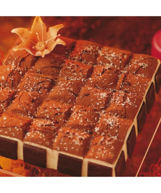 Moule en plastique semi-rigide (x 2)