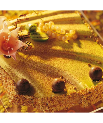 Moule en plastique semi-rigide (x 2)