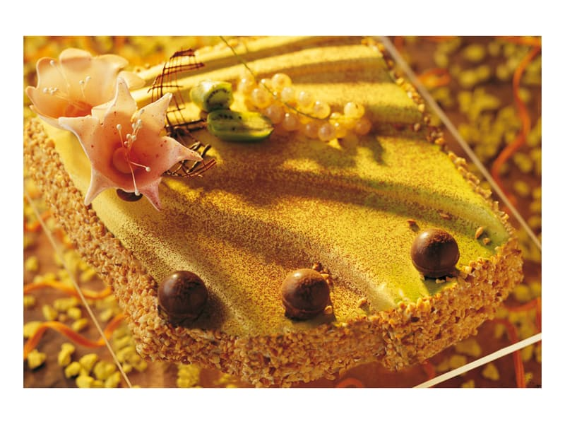 Moule en plastique semi-rigide (x 2)