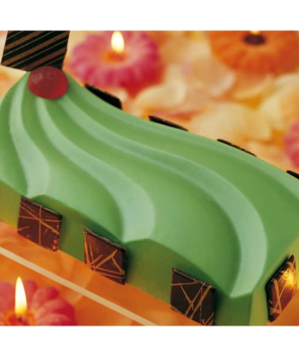 Moule en plastique semi-rigide (x 2)