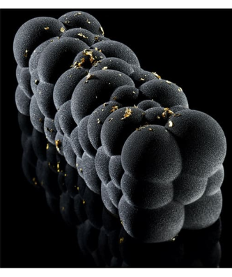 Moule à bûche silicone Atomic