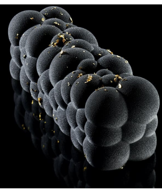 Moule à bûche silicone Atomic