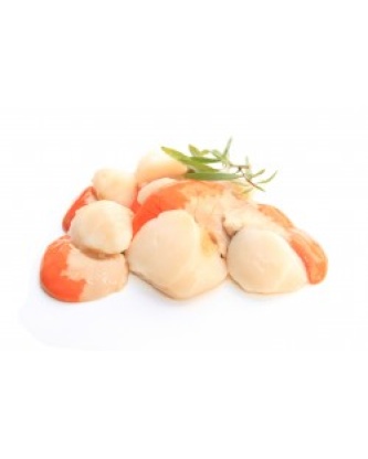 NOIX DE SAINT JACQUES LOT DE 2KG