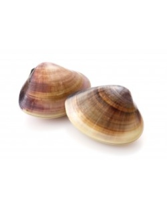 PALOURDE MOYENNE BARQUETTE 1KG