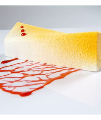 Pavoflex moule 20 rectangles vrillés