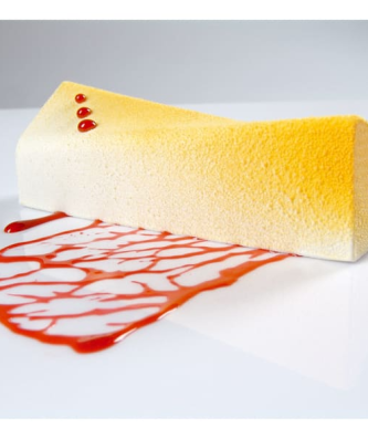 Pavoflex moule 20 rectangles vrillés