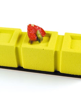 Pavoflex moule 20 tricubes