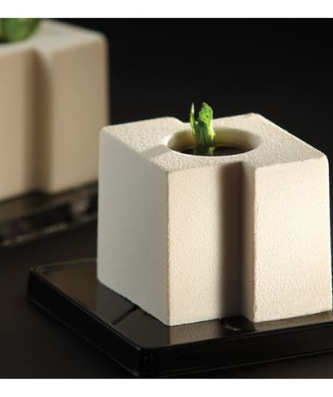 Pavoflex moule 24 cubes tekno