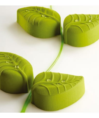 Pavoflex moule 24 feuilles